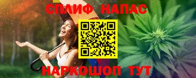 крисы Беслан