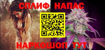 крисы Беслан