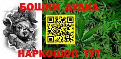 крисы Беслан