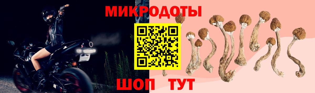 Кемерово  Псилоцибиновые грибы мухоморы  Вход с VPN 