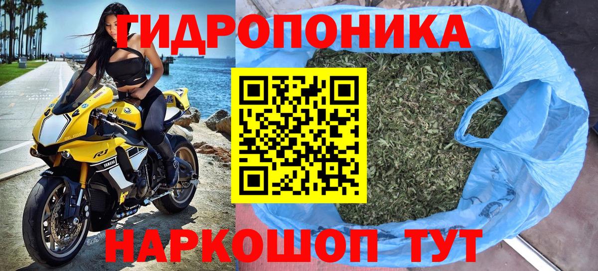 Канабис Amnesia  Вход с VPN  Бошки марихуана сатива  Кемерово 
